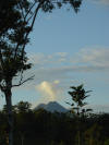 Arenal Volcano at daybreak with tropical hardwood, Costa Rica