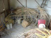 basket weaver's workshop (taller)