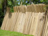 drying wood: tropical hardwood in Costa Rica